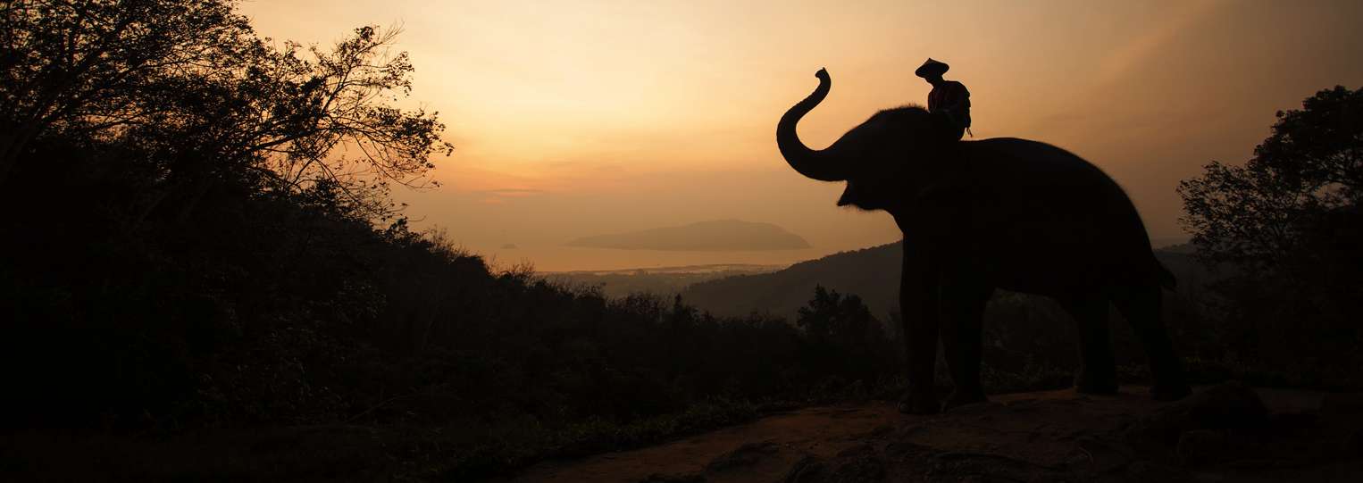 Discover-Sri-Lanka-Image