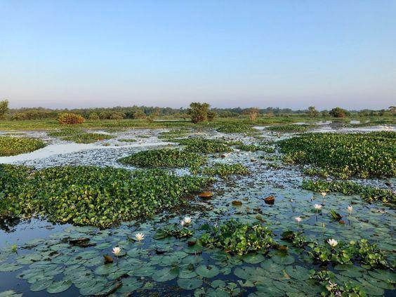 Kalamatiya Bird Sanctuary