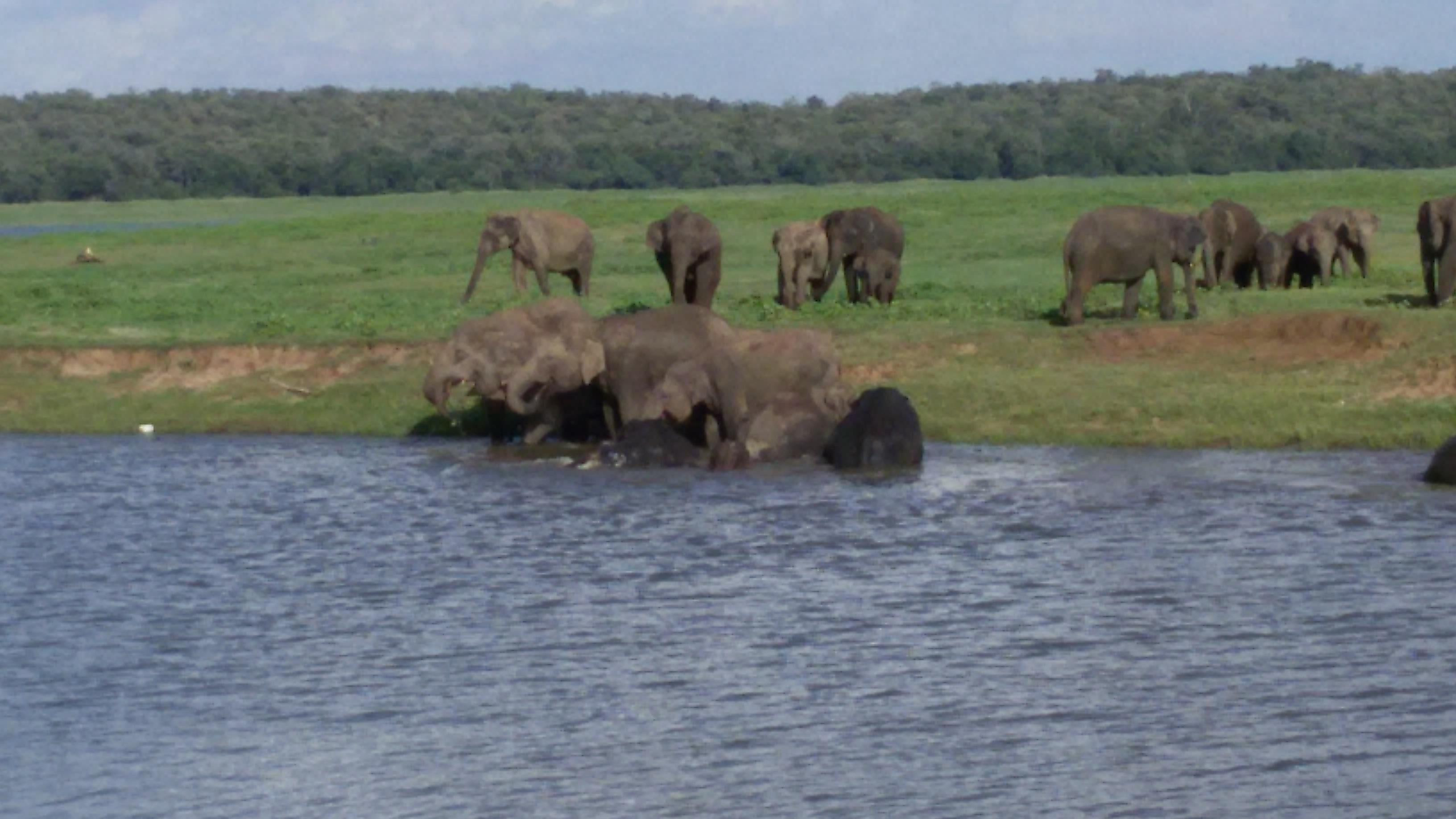 Kumana National Park
