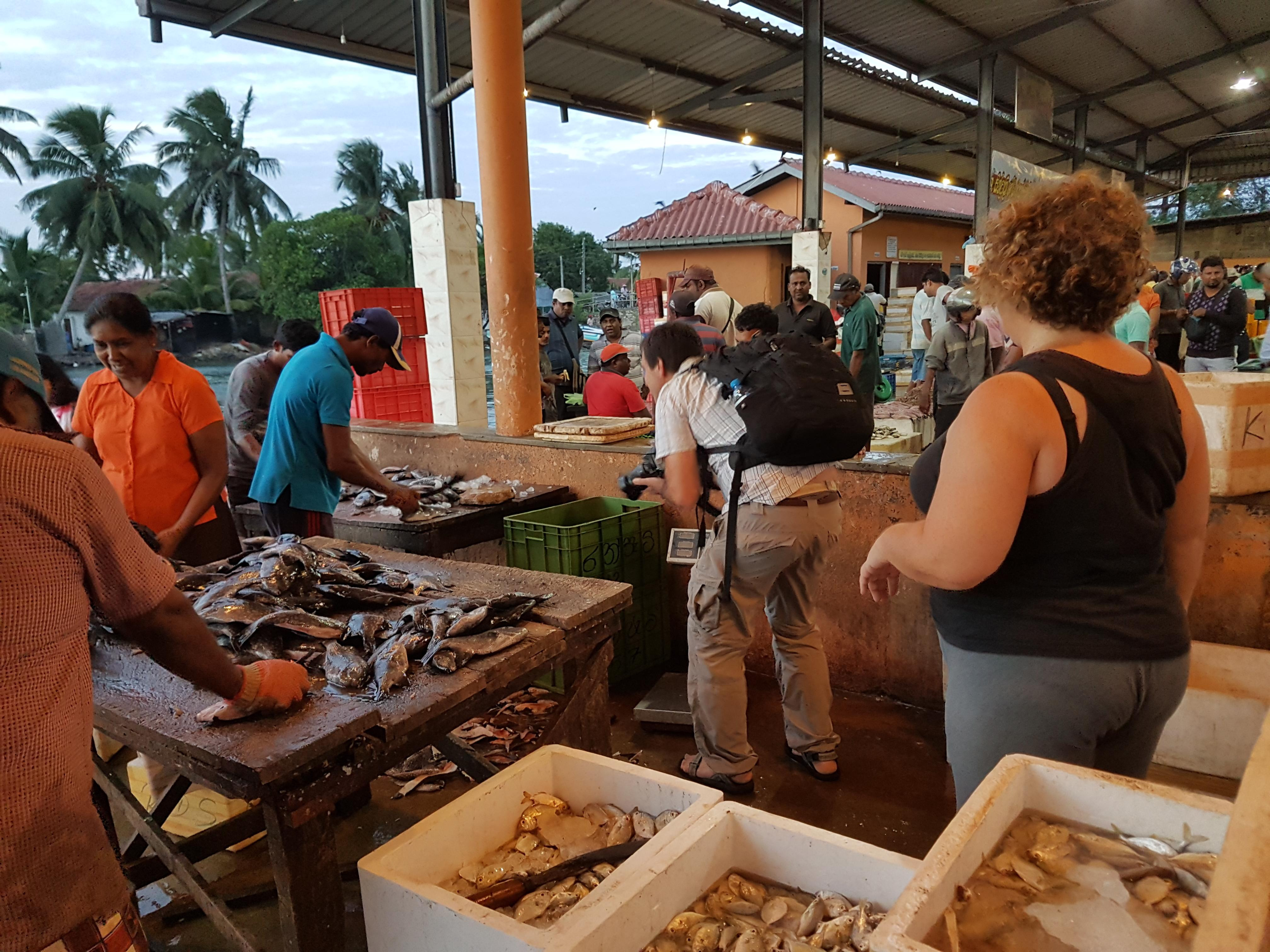 Fish Market