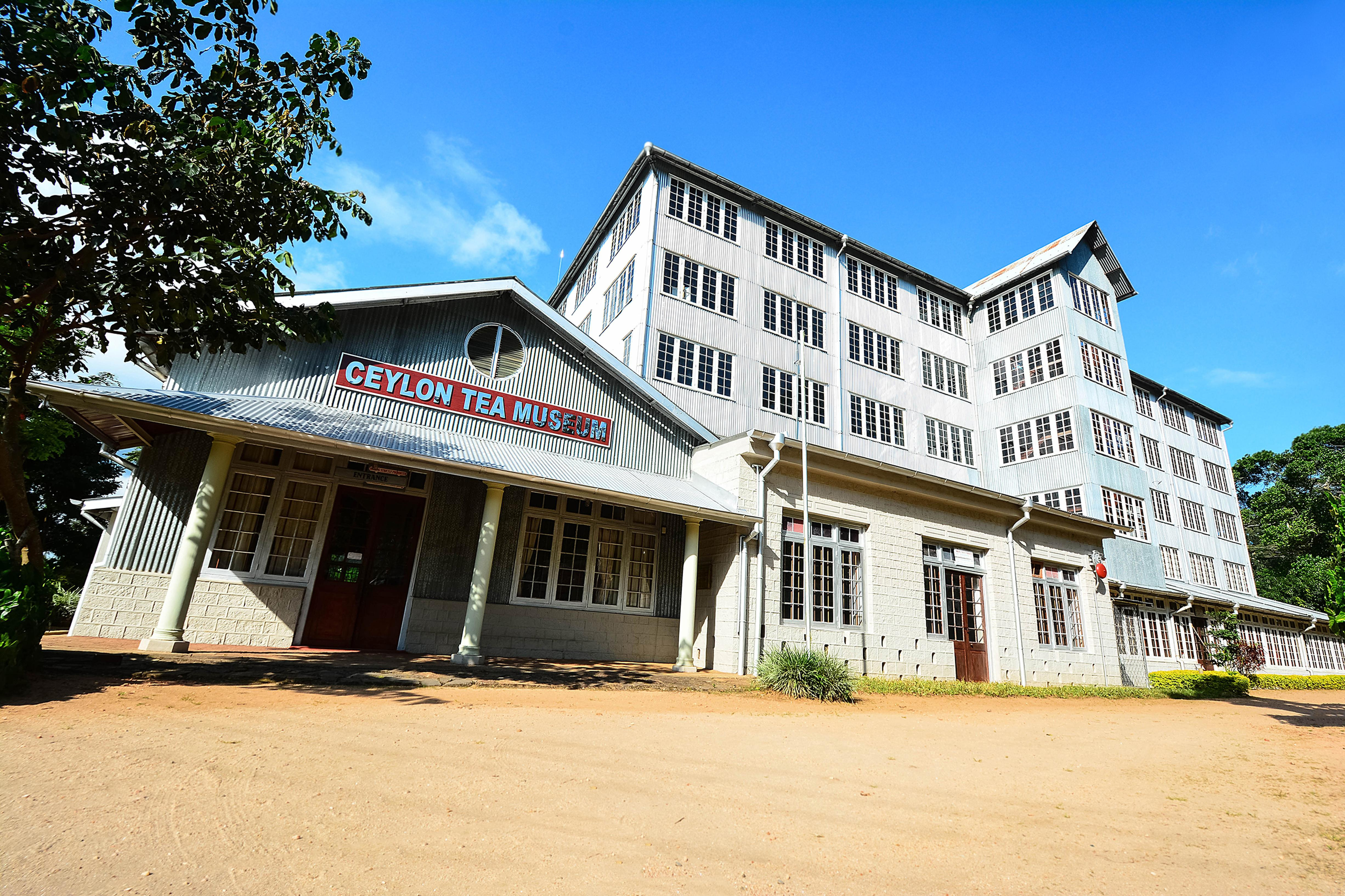 Hantana Estate and the Tea Museum