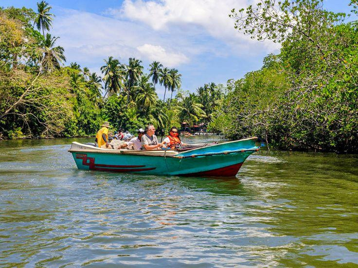 Walawe River Safari