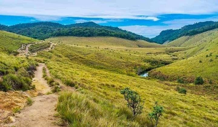 Horton Plains National Park