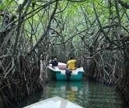 Madu River