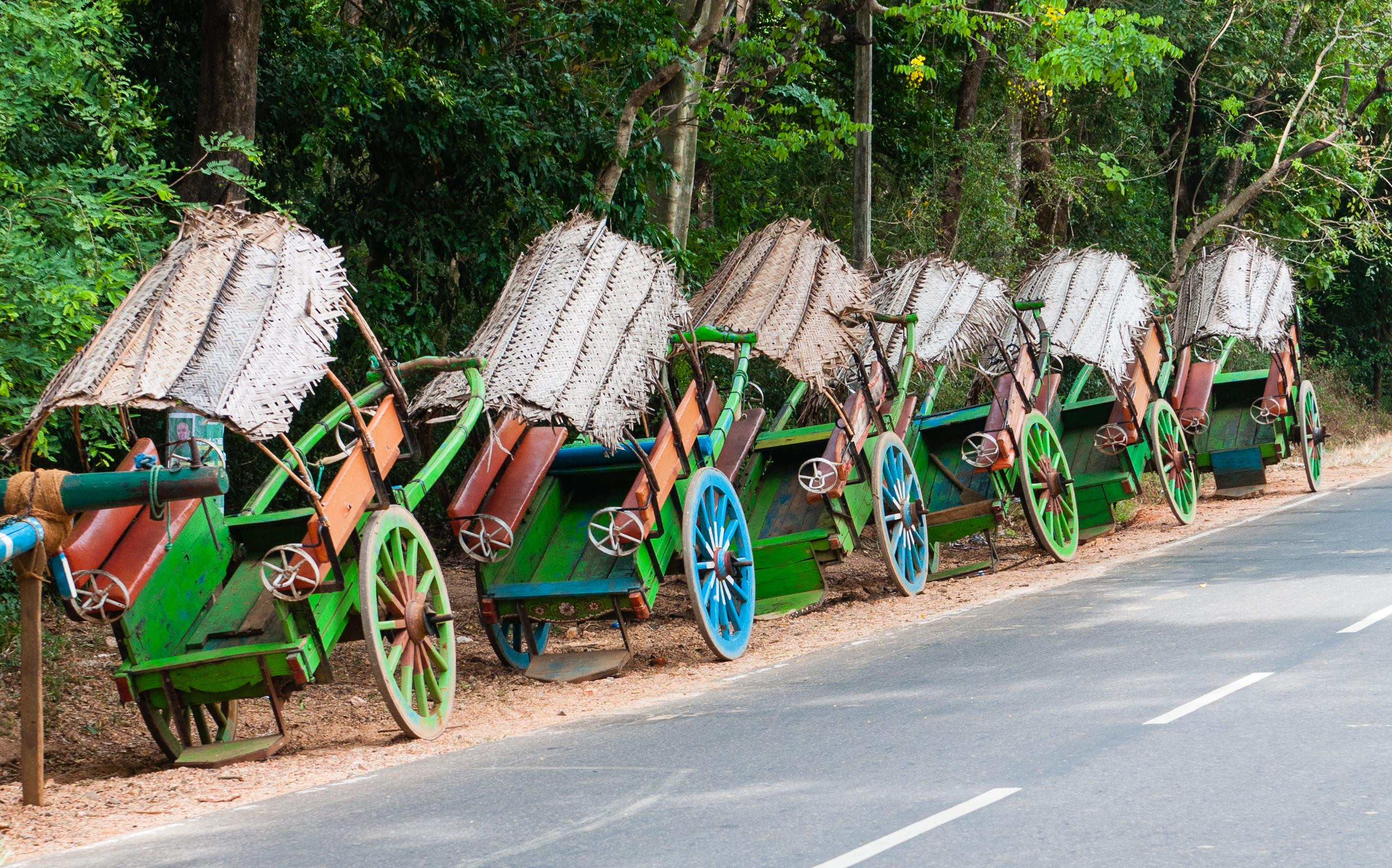 Village Safari