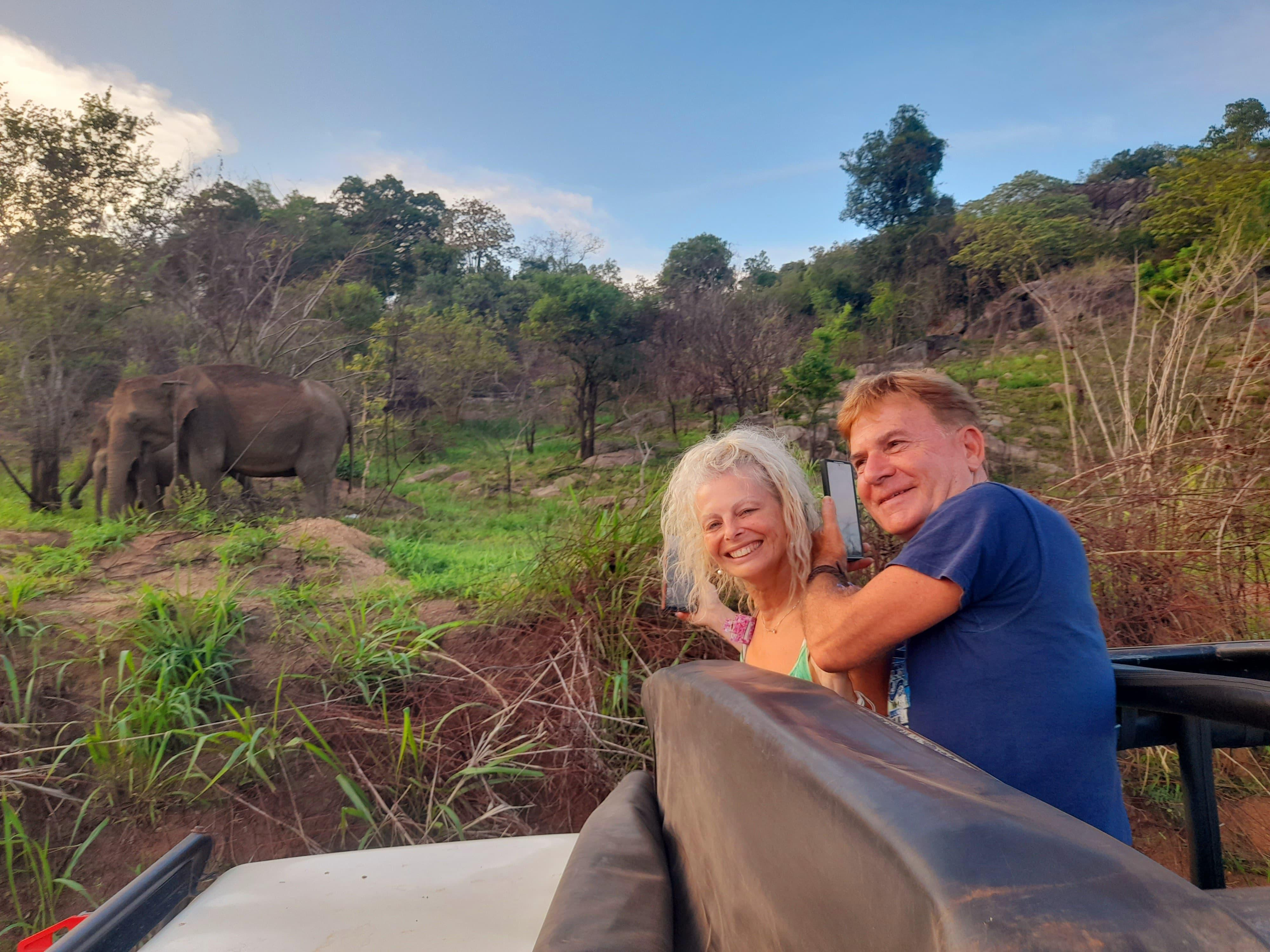 Wild Safari