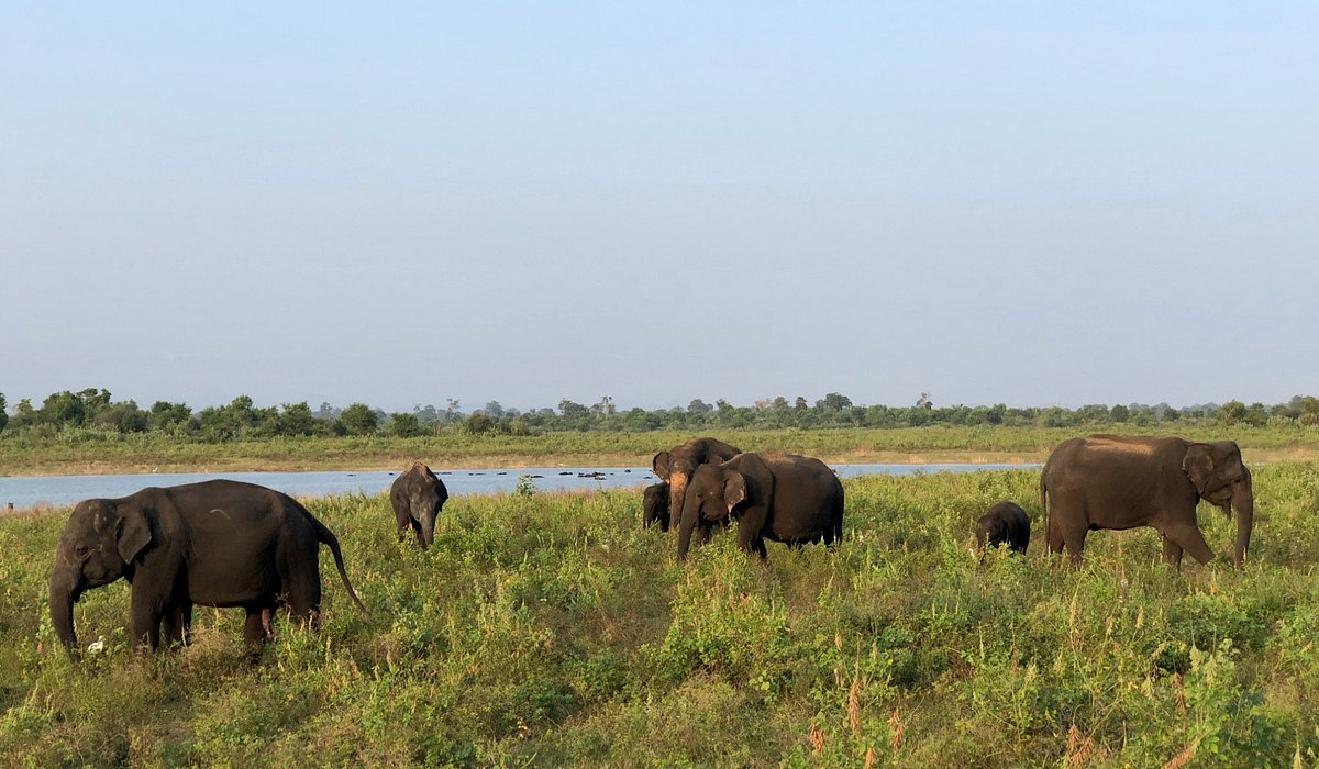 Udawalawa