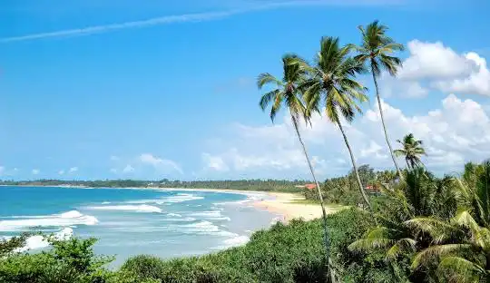 Bentota