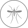 Mosquito