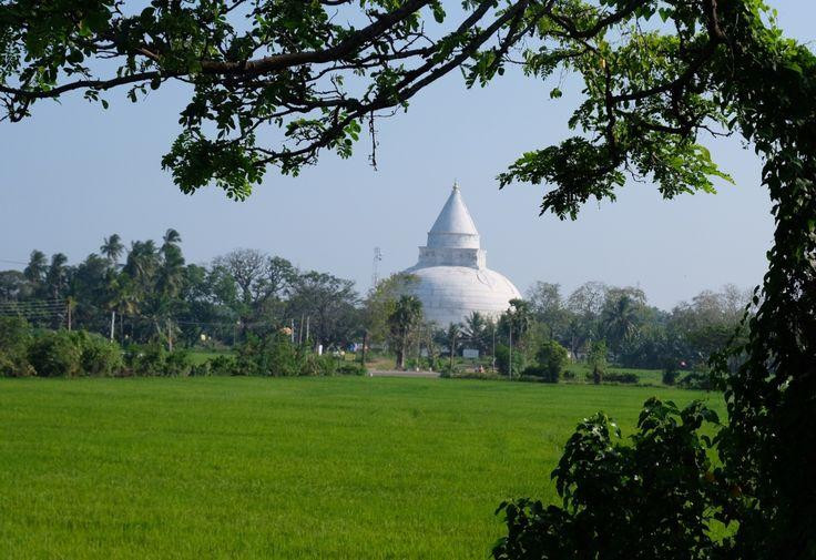Tissamaharama Raja Maha Vihara