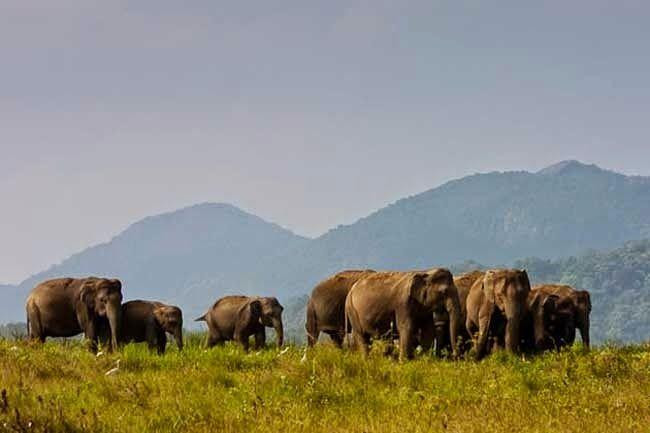 Gal Oya National Park