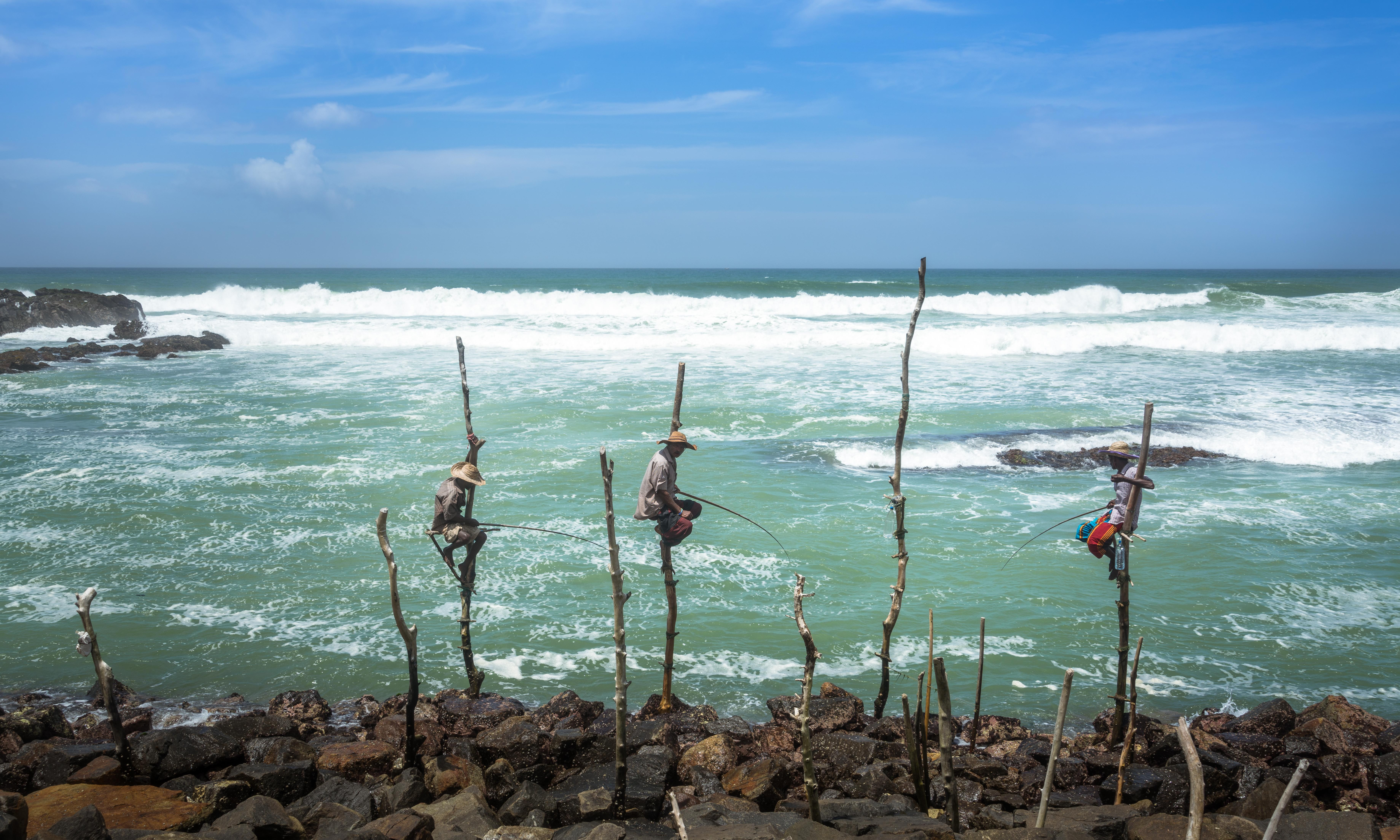 Stilt fishing, a well-known and unique tradition of fishing located along Sri Lanka’s southern coastline, including the Mirissa area, is a method of fishing involving men balancing on wooden stilts that are planted in shallow areas of the ocean while they fish using small fishing poles. This ancient form of fishing demonstrates the relationship between people and the environment in a way that allows visitors to learn about the lives of coastal communities while watching fishermen work; capturing beautiful images in the morning and late afternoon light while they perform their trade. Stilt fishing is one of the most culturally significant aspects of this area because of its historical, traditional, and natural beauty.