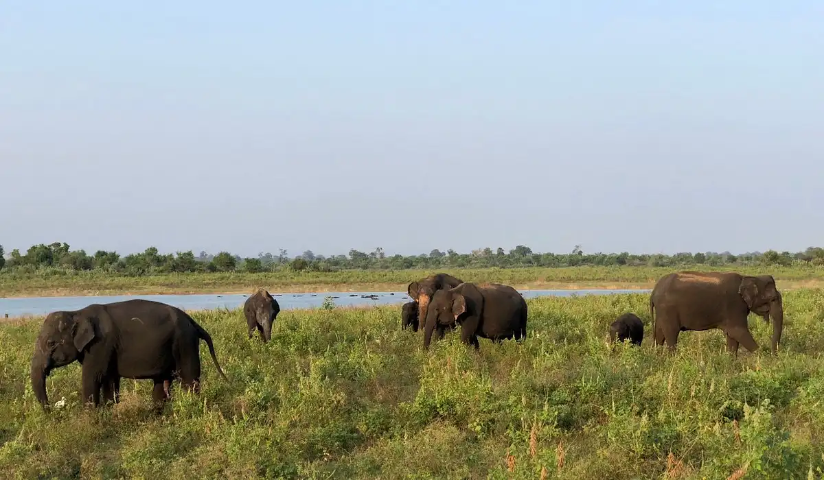 Udawalawa
